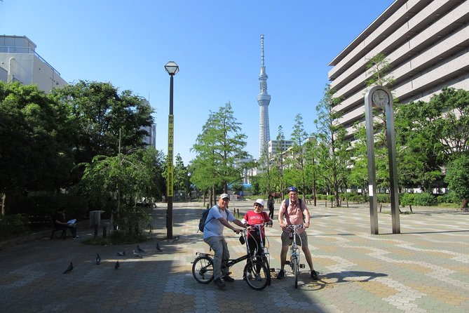 Tokyo by Bike: Skytree, Kiyosumi Garden and Sumo Stadium