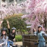 1 tokyo cherry blossoms blooming spots e bike 3 hour tour Tokyo Cherry Blossoms Blooming Spots E-Bike 3 Hour Tour