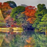 1 tokyo full day japanese garden private guided tour Tokyo: Full-Day Japanese Garden Private Guided Tour