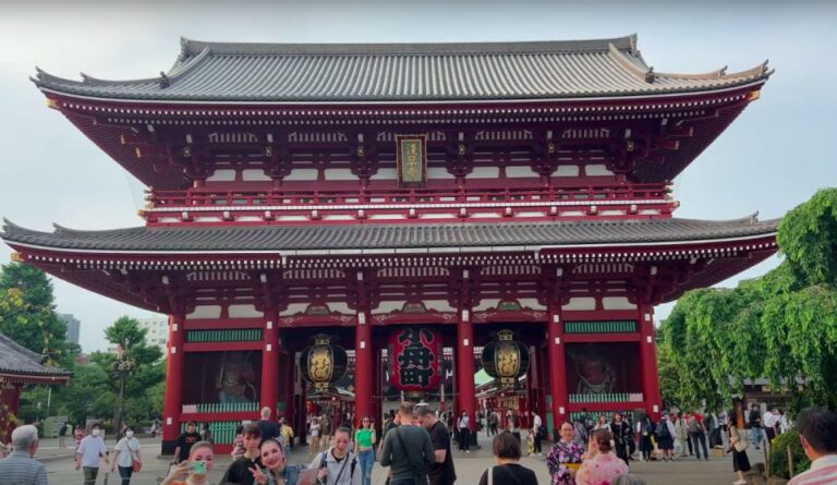 Tokyo: Full-Day Private Tour With English Guide