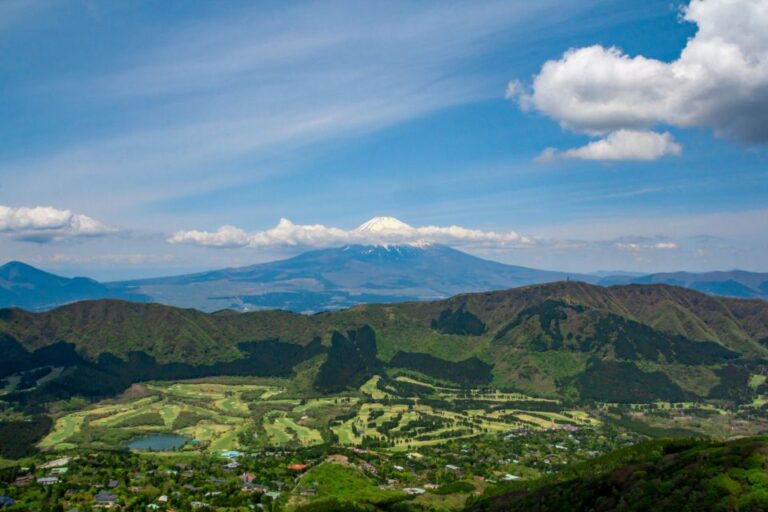 Tokyo: Guided Helicopter Ride With Mount Fuji Option