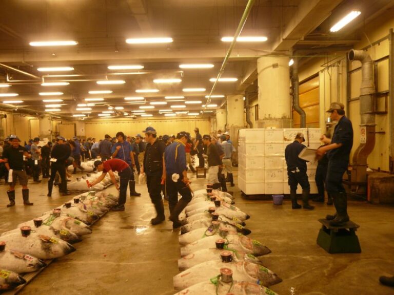 Tokyo: Guided Walking Tour of Tsukiji Market With Lunch