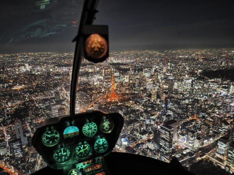 Tokyo: Helicopter Night Flight