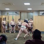 1 tokyo morning sumo practice viewing Tokyo: Morning Sumo Practice Viewing