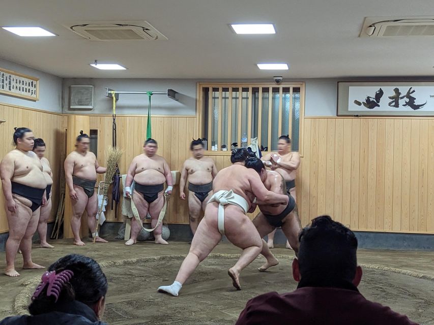 1 tokyo morning sumo practice viewing Tokyo: Morning Sumo Practice Viewing