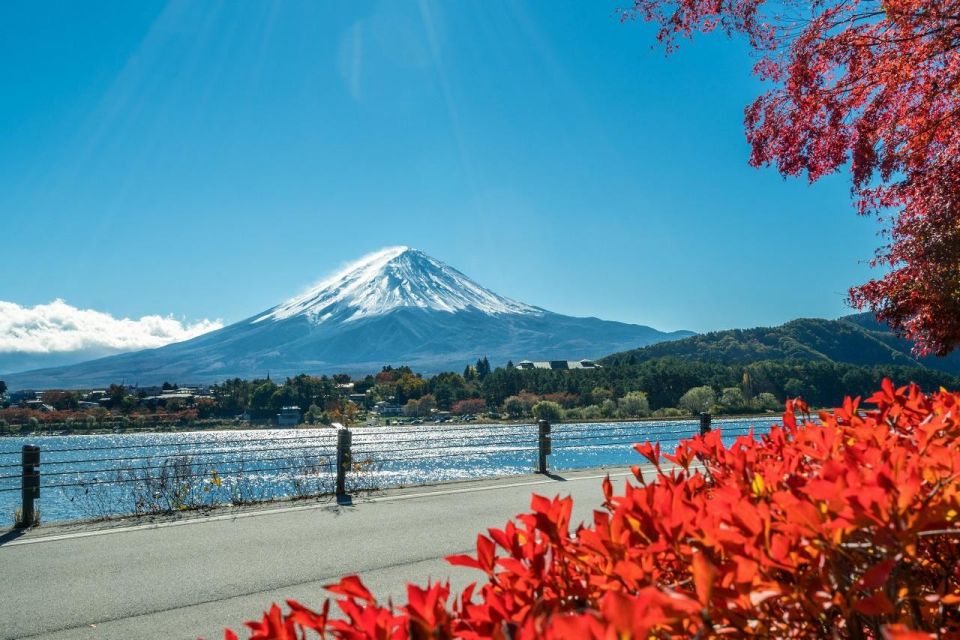 1 tokyo mt fuji area lake ashi owakudani onsen 1 day tour Tokyo: Mt Fuji Area, Lake Ashi, Owakudani, Onsen 1-Day Tour