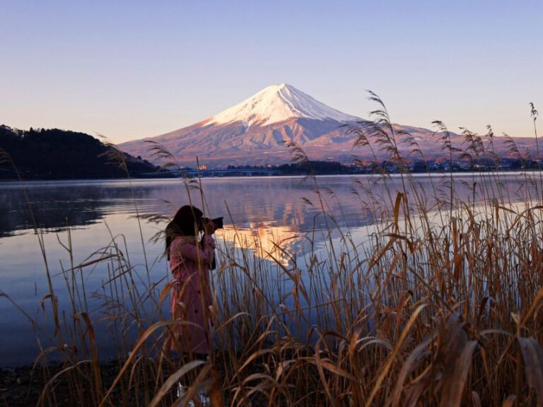 Tokyo: Mt Fuji Day Tour With Kawaguchiko Lake Visit
