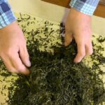1 tokyo online green teatime in japan Tokyo Online: Green Teatime in Japan