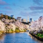 1 tokyo private full day landmark tour by car custom itinerary mar Tokyo Private Full-Day Landmark Tour, by Car, Custom Itinerary (Mar )
