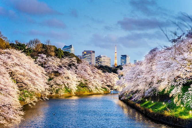 Tokyo Private Full-Day Landmark Tour, by Car, Custom Itinerary (Mar )