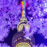 1 tokyo private night tour with english speaking guide by car Tokyo Private Night Tour With English Speaking Guide by Car
