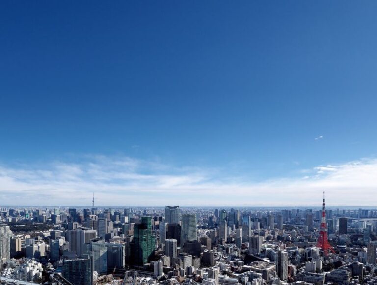 Tokyo: Roppongi Hills Observatory Ticket