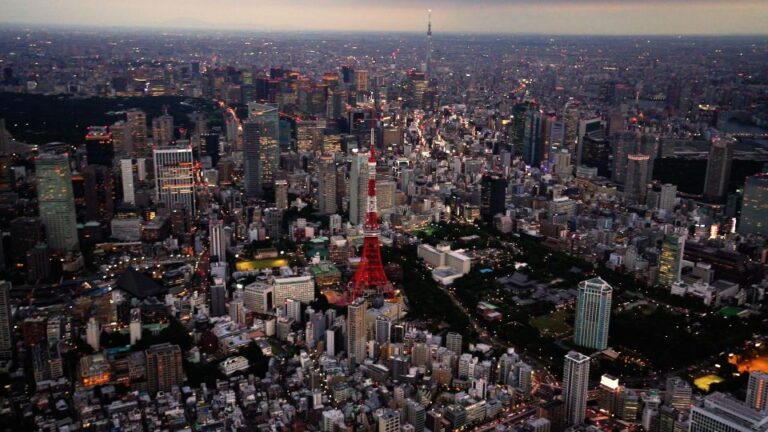 Tokyo Sightseeing Helicopter Tour for 5 Passengers