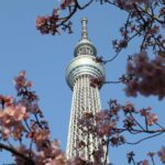 1 tokyo skytree admission ticket and private hotel pickup Tokyo Skytree: Admission Ticket and Private Hotel Pickup