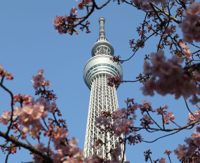 1 tokyo skytree admission ticket and private hotel pickup Tokyo Skytree: Admission Ticket and Private Hotel Pickup