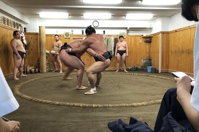 Tokyo Sumo Morning Practice Tour With Live Commentary