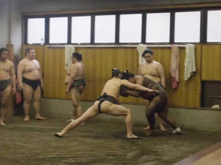 Tokyo: Sumo Morning Practice Viewing Tour