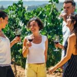 1 toledo city tour winery experience wine tasting from madrid Toledo City Tour, Winery Experience & Wine Tasting From Madrid
