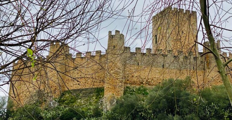Tomar: Castle of Almourol Private Tour