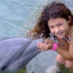 1 touch encounter with the dolphins at dolphin cove negril Touch Encounter With the Dolphins at Dolphin Cove Negril