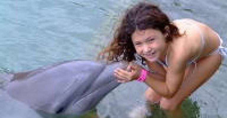 Touch Encounter With the Dolphins at Dolphin Cove Negril