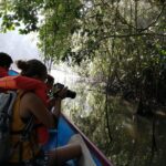 1 tour to the canals in tortuguero national park Tour to the Canals in Tortuguero National Park
