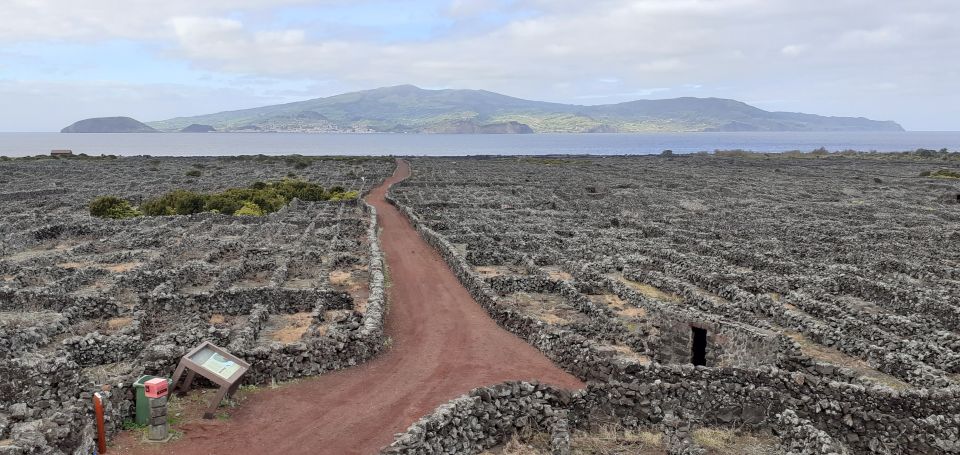 Tours on Pico Island - Cultural and Natural Landscape - Key Points
