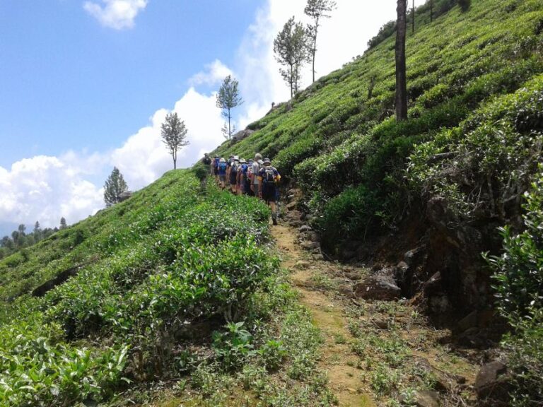 Trail Running From Haputele to Bambarakanda Water Falls