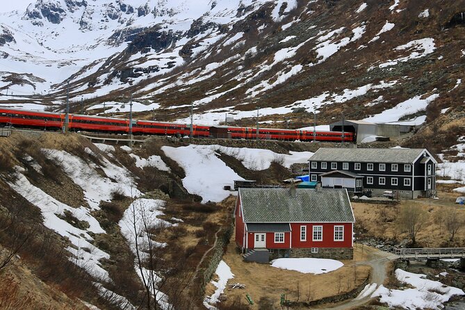 Train and Bus Tour From Bergen to Oslo via Hardangervidda/Fjord