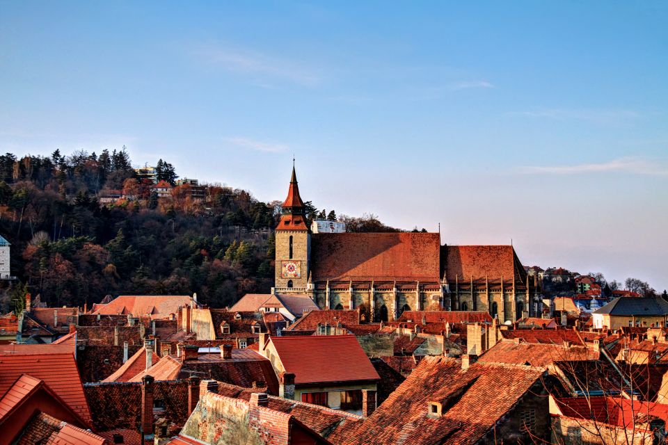 Transylvania With Dracula Castle, Bear Sanctuary and Brasov - Review Summary