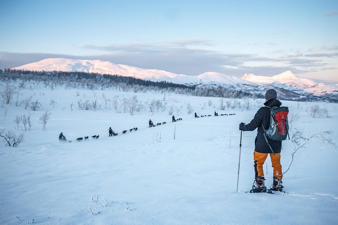 1 tromso guided snowshoe trip Tromso Guided Snowshoe Trip