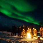 1 tromso saami culture and reindeer feeding experience mar Tromsø Saami Culture and Reindeer-Feeding Experience (Mar )