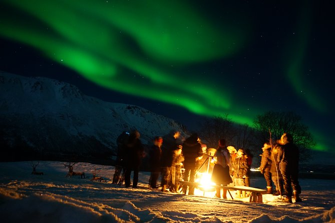 Tromsø Saami Culture and Reindeer-Feeding Experience (Mar )