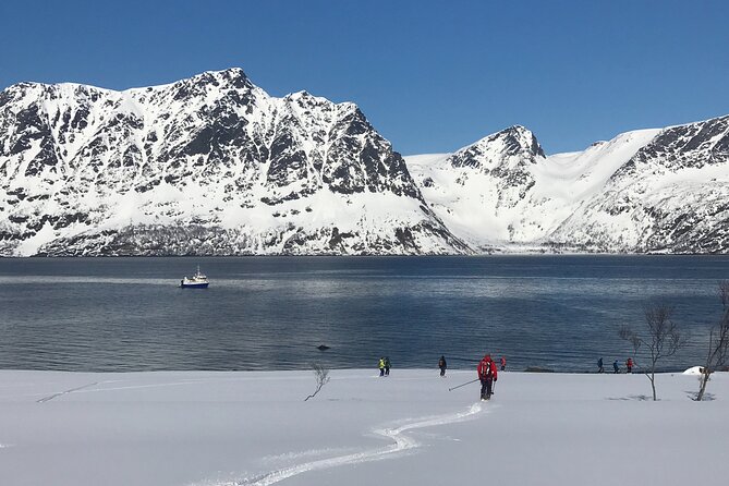 Tromsø Small-Group Half-Day Cross-Country Skiing Trip (Mar )