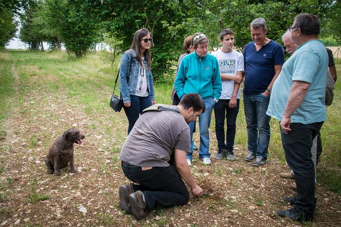 Truffle Hunting and Tasting Experience  – Beaune
