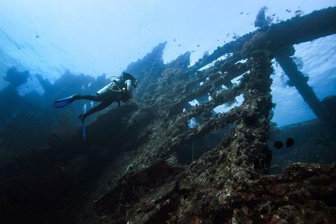 1 tulamben diving uss liberty shipwreck scuba dive Tulamben Diving USS Liberty Shipwreck Scuba Dive