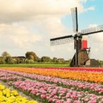 1 tulip experience and keukenhof flower gardens tour from amsterdam Tulip Experience and Keukenhof Flower Gardens Tour From Amsterdam