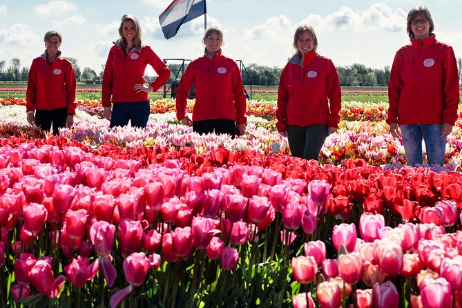 Tulip Experience With Keukenhof and Windmills Tour From Amsterdam
