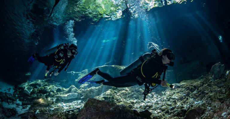 Tulum : Dos Ojos Cenote 2 Scuba Dives (Certified Divers)
