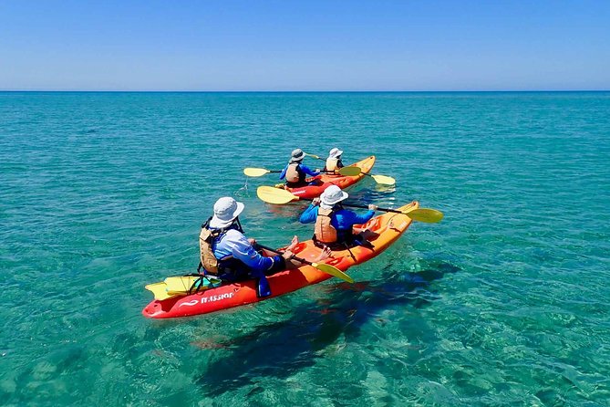 Turtle Tour – Ningaloo Reef Half Day Sea Kayak and Snorkel Tour