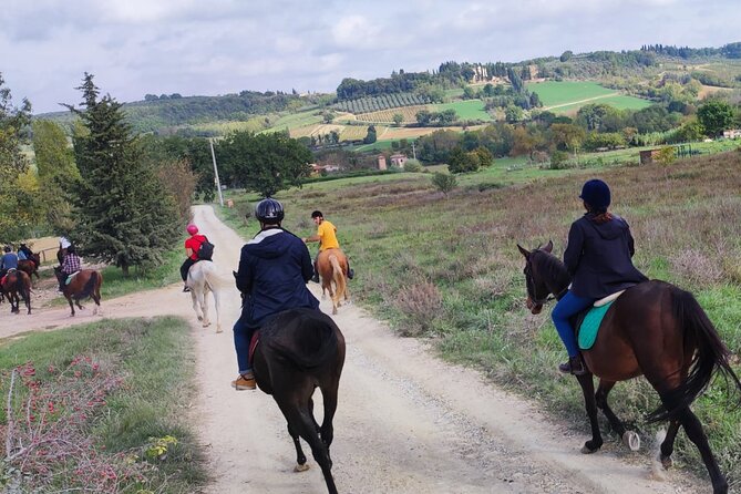Tuscan Chianti Hills Horseback Riding Tour