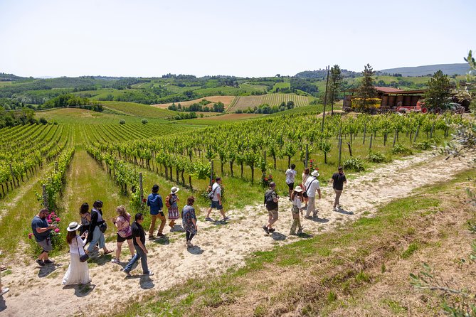 1 tuscany day trip from florence siena san gimignano pisa and lunch at a winery Tuscany Day Trip From Florence: Siena, San Gimignano, Pisa and Lunch at a Winery