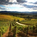 1 tuscany hiking tour from siena including wine tasting Tuscany Hiking Tour From Siena Including Wine Tasting
