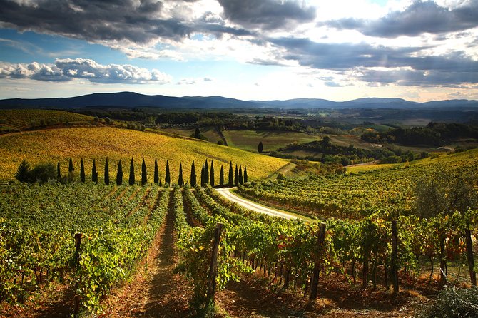 Tuscany Hiking Tour From Siena Including Wine Tasting