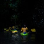 1 twilight kayak glow worm tour Twilight Kayak Glow Worm Tour