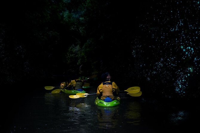 Twilight Kayak Glow Worm Tour