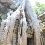 1 two day angkor sightseeing tour from siem reap Two Day Angkor Sightseeing Tour From Siem Reap