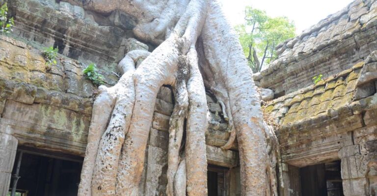 Two Day Angkor Sightseeing Tour From Siem Reap