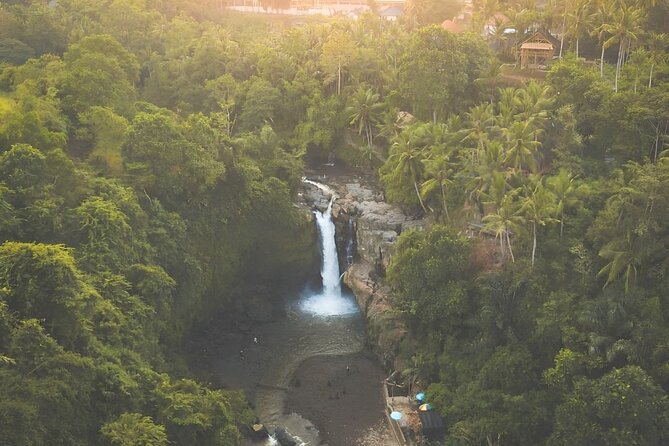 Ubud Day Tour: Sacred Monkey Forest, Tegenungan Waterfall, Rice Terrace