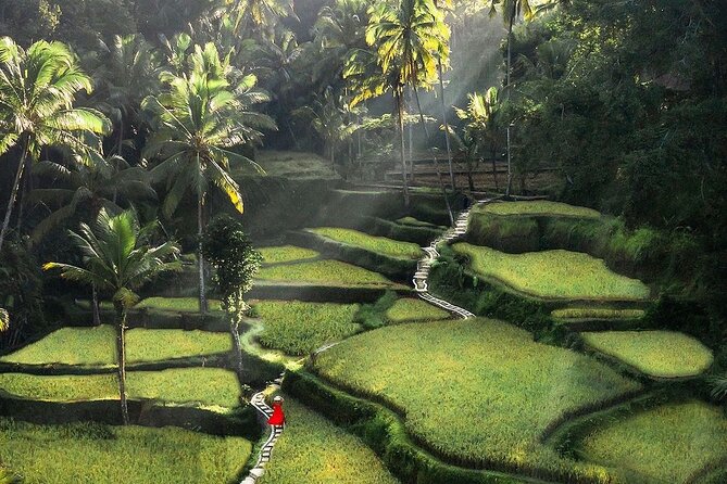 Ubud DayTrip : Monkey Forest – Rice Terrace – Jungle Swing – Water Temple